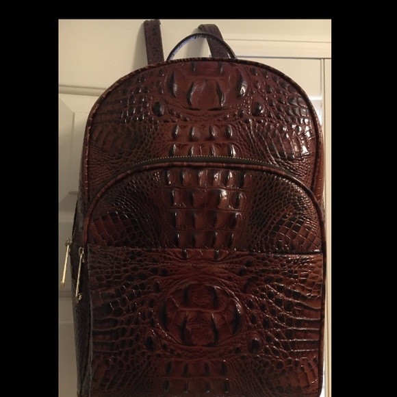 brahmin backpack large